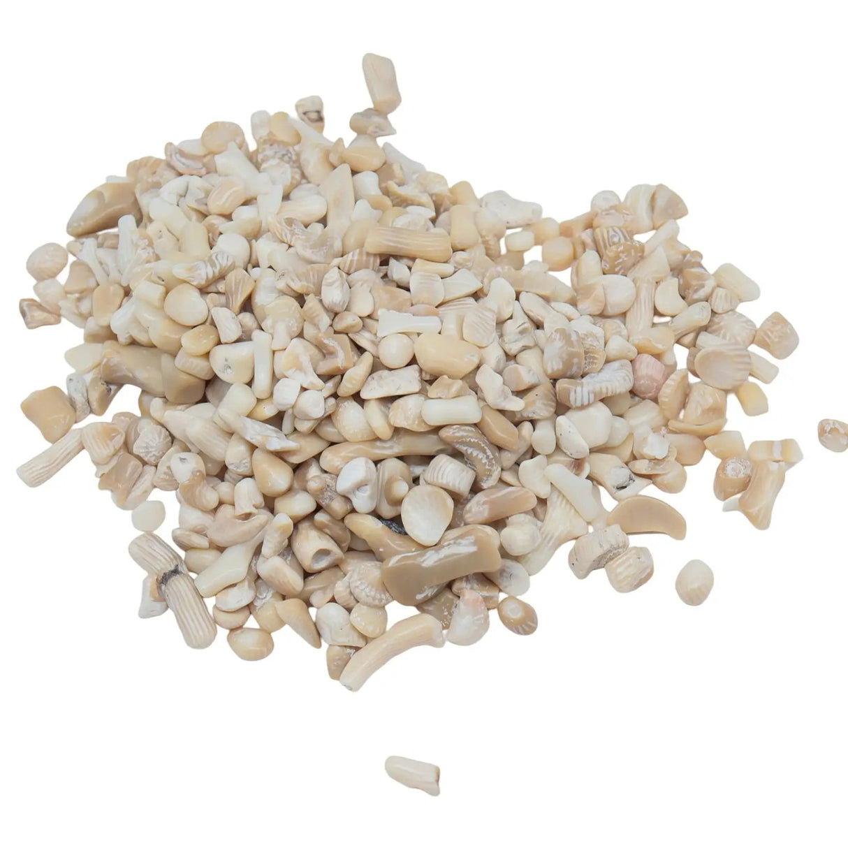Stone - Tumbled Chips - White Coral & Bamboo 10 g