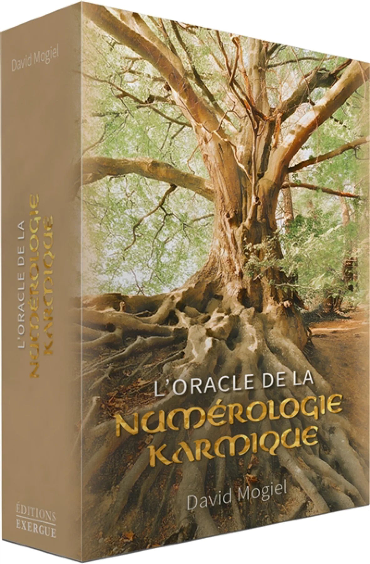 Astro Tarot Oracle deck, brown-tan box with a large tree illustration, French edition.