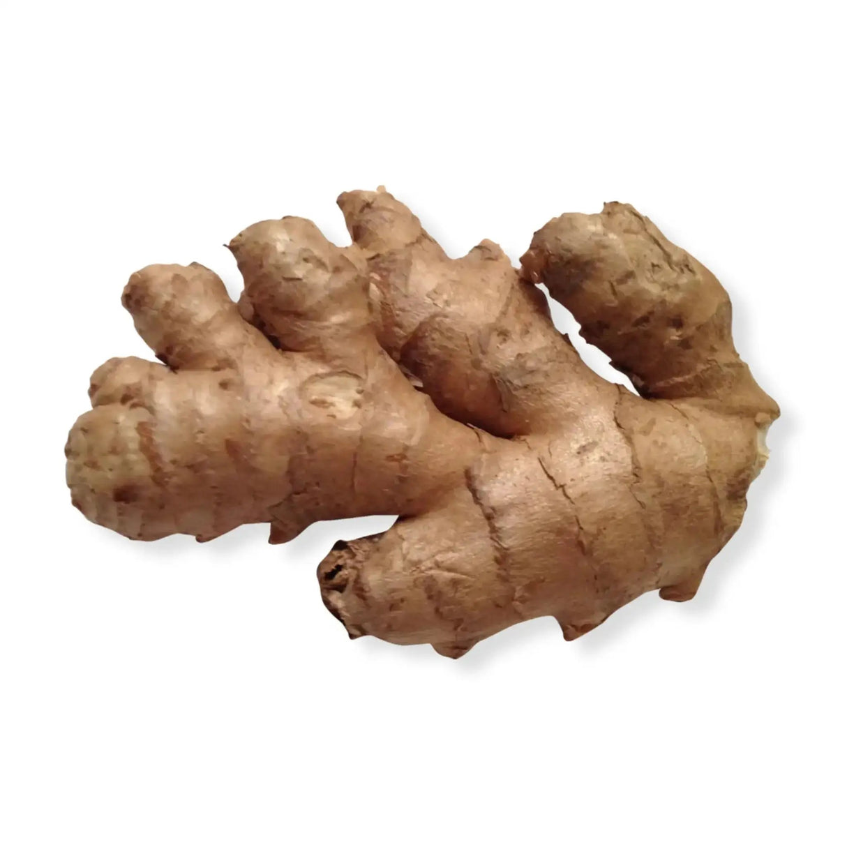 Essential Oil - Ginger (Zingiber Officinale) 500 ml