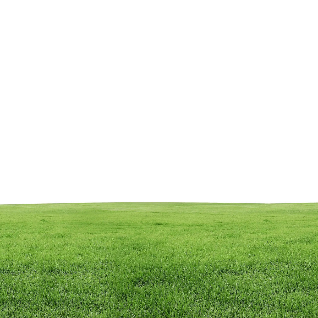 Fragrance Oil - Fresh Cut Grass 500 ml