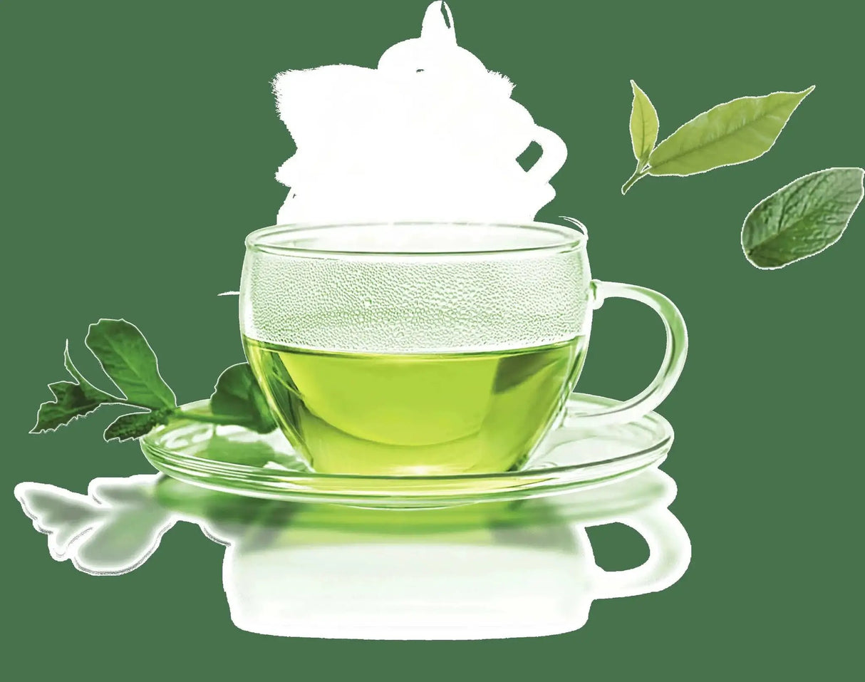 Fragrance Oil - Green Tea & White Pear