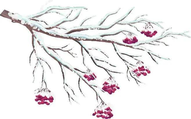 Fragrance Oil - Winterberry Wonder 500 ml