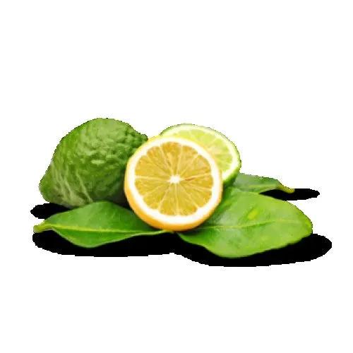 Incense Sticks - Bergamot - Pack of 10