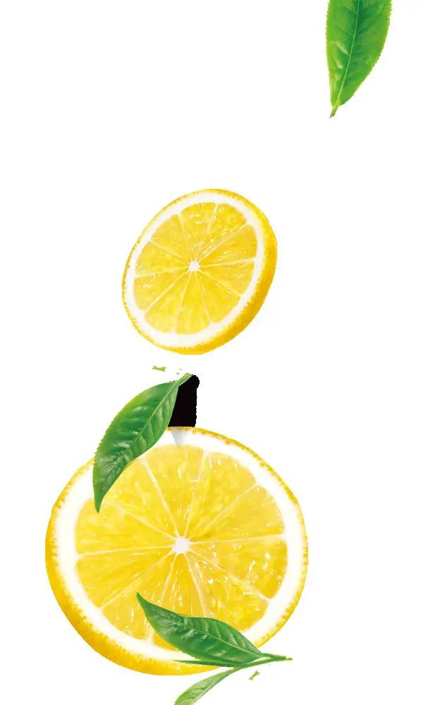 Incense Sticks - Lemon - Pack of 10