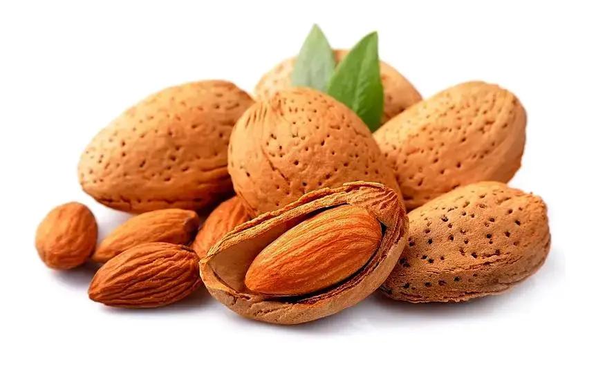 Incense Sticks - Almond - Pack of 10