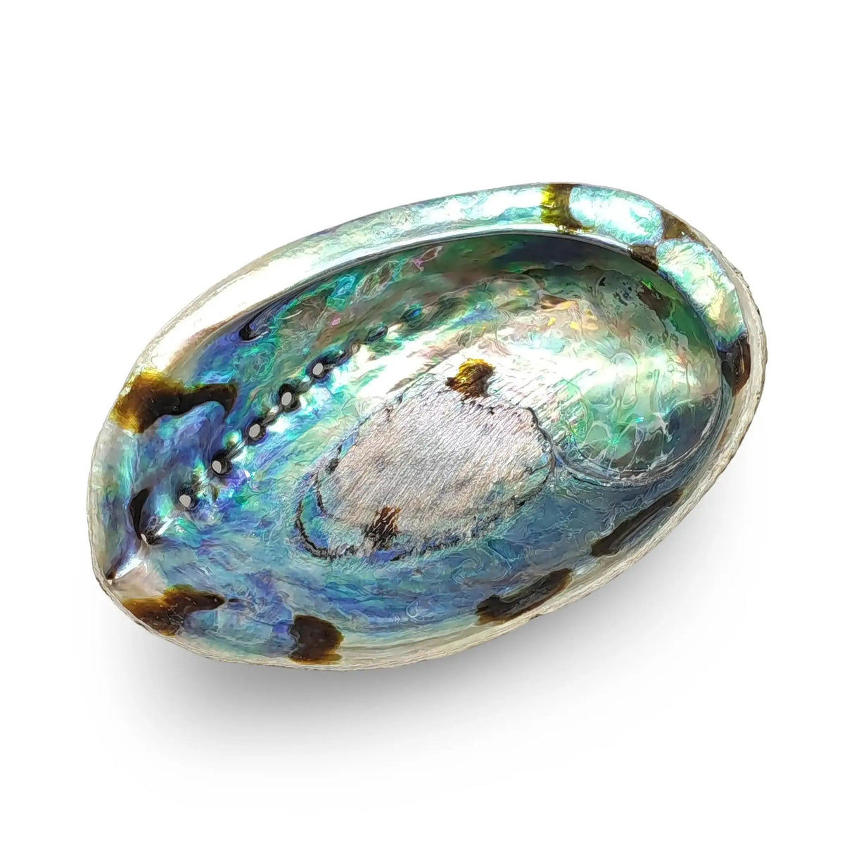 Smudging - Abalone Shell