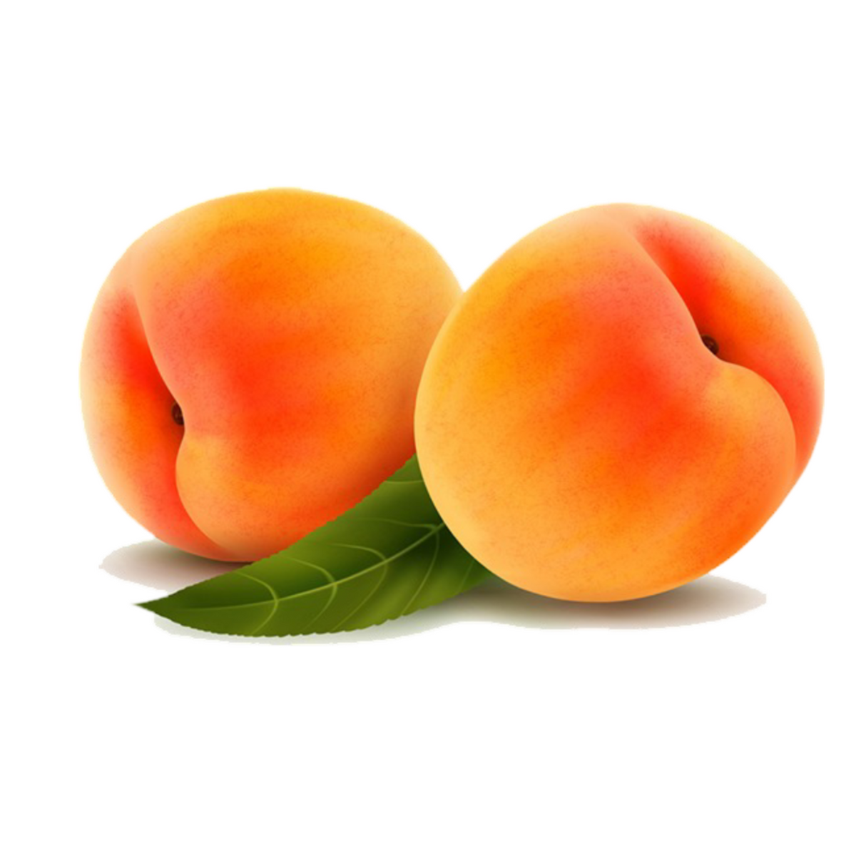 Fragrance Oil - Fresh Peachs 500 ml