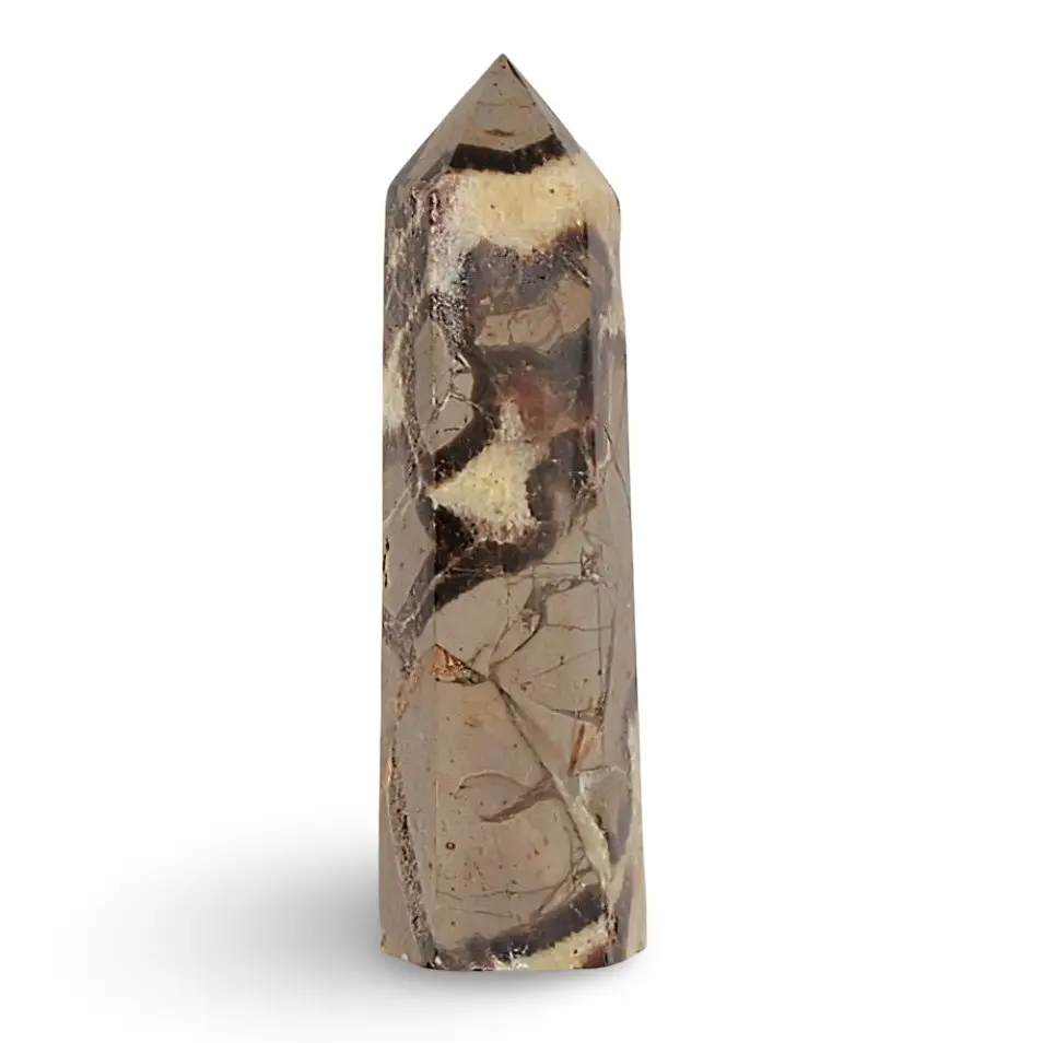 Stone - Crystal Point - Septarian - Tumbled