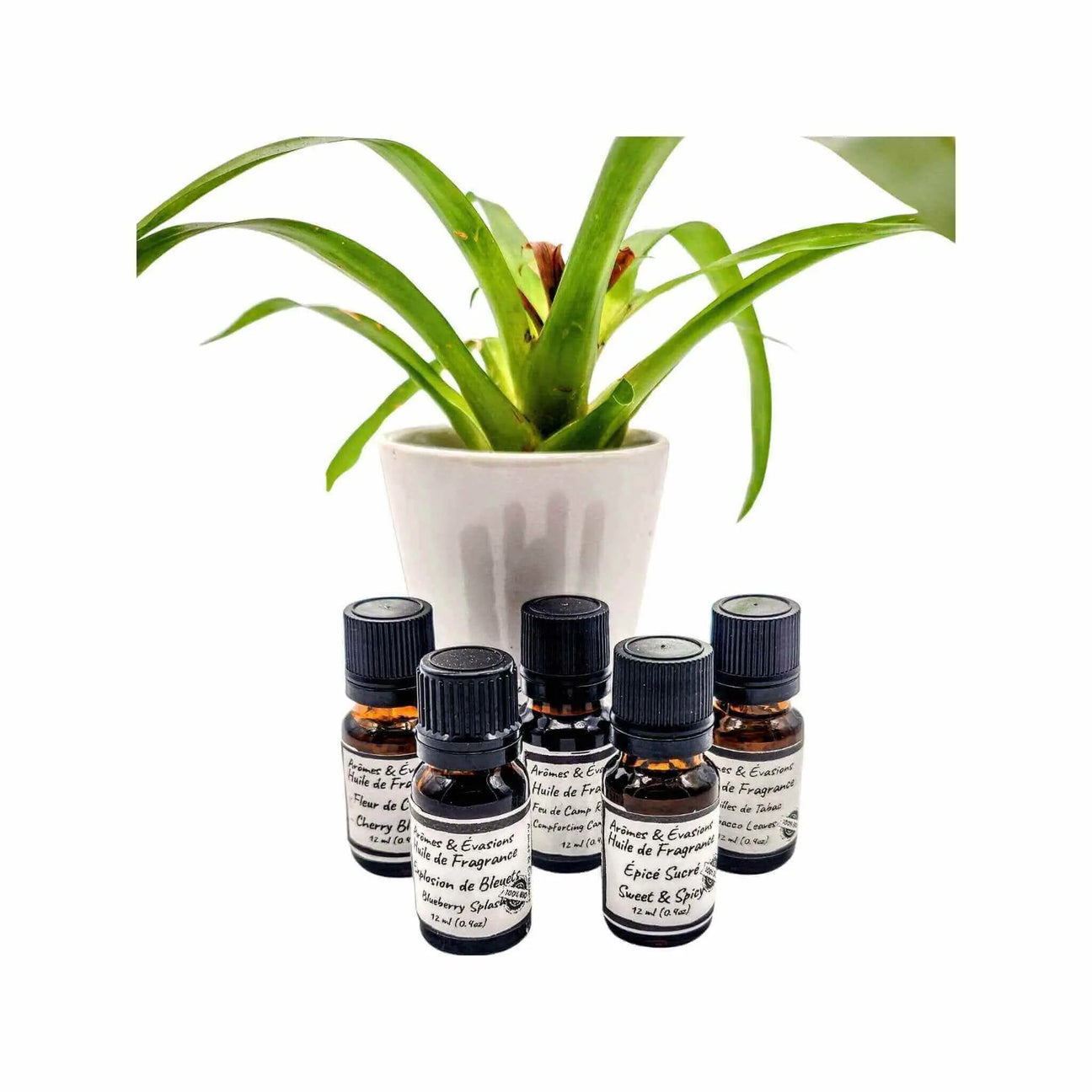 Fragrance Oils Arômes & Évasions.