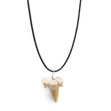 Necklace - Shark Tooth