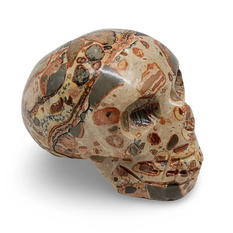 Stone - Leopard Jasper Skull Specimen - Polished