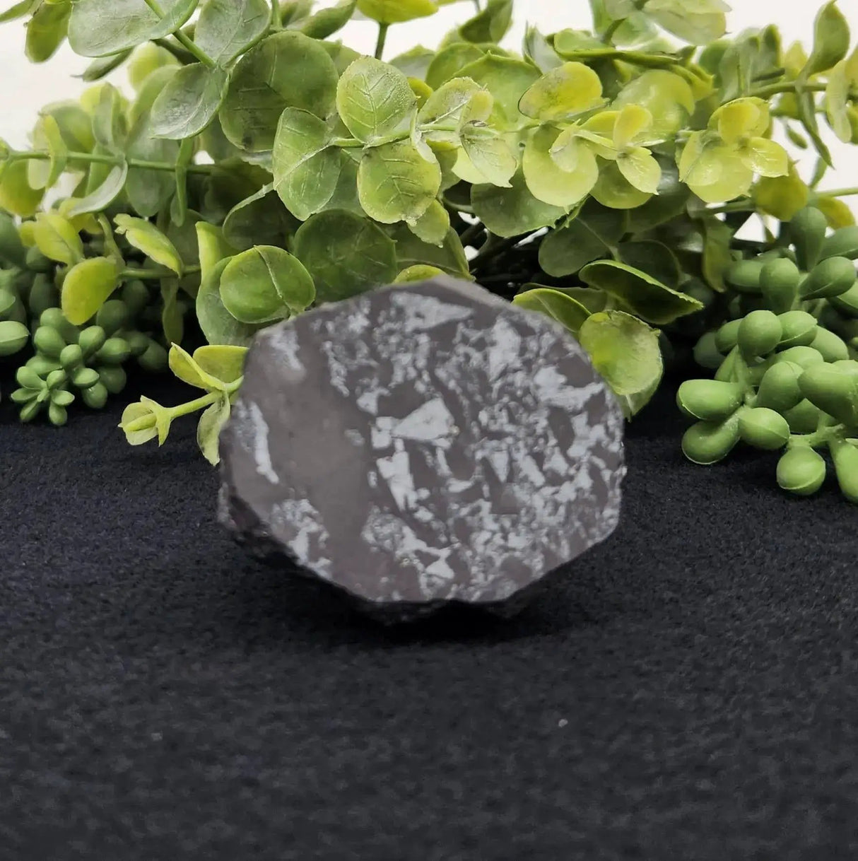 Home Decor - Shungite Sculpture - Owl Facing Sideways (2.25x1.75x2.25")