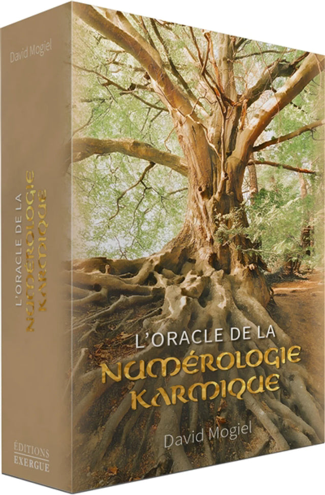 Astro Tarot Oracle deck, brown-tan box with a large tree illustration, French edition.