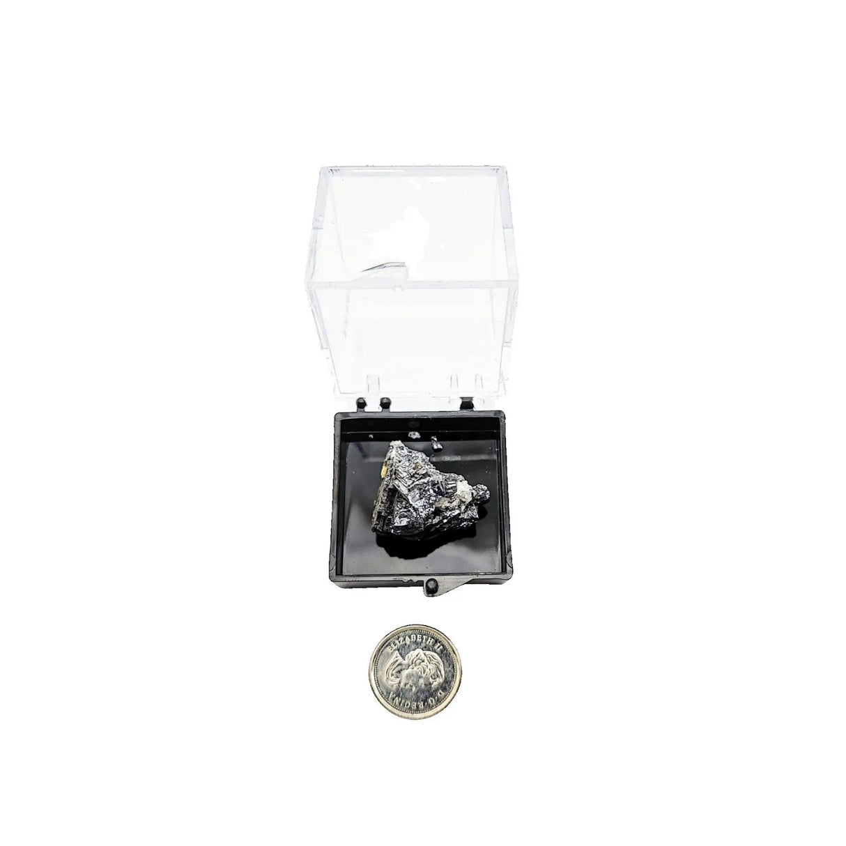 Collection Piece -Display Box -Galena -Rough -Hunan
