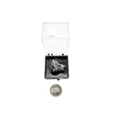 Collection Piece -Display Box -Galena -Rough -Hunan