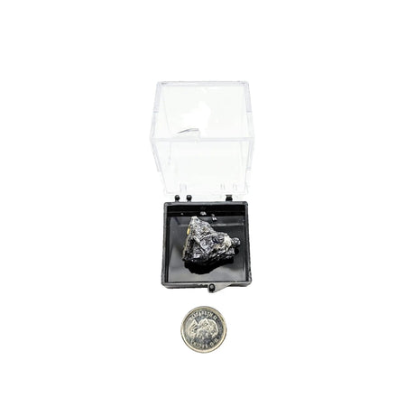 Collection Piece -Display Box -Galena -Rough -Hunan