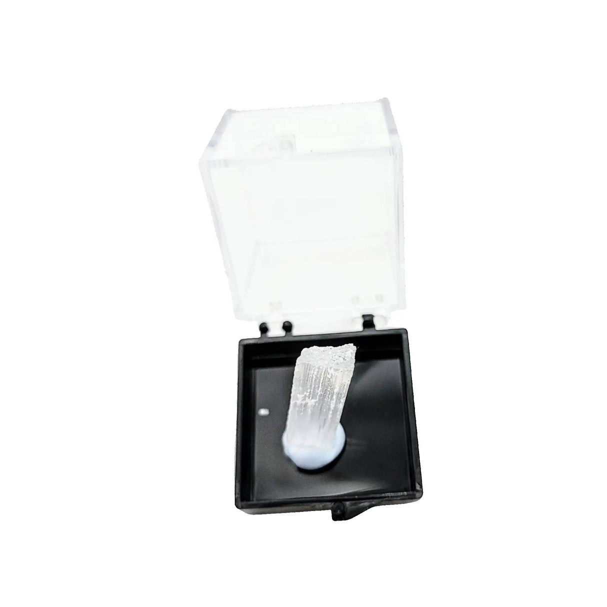 Collection Piece -Display Box -Gypsum -Rough -Morroco