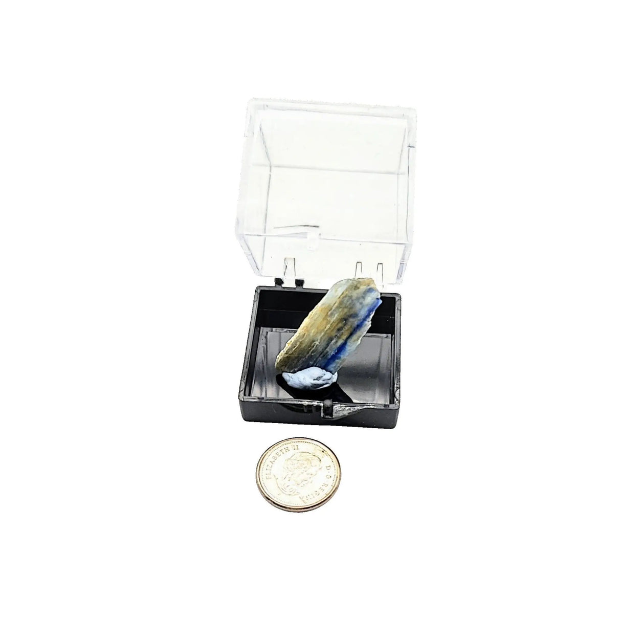 Collection Piece -Display Box -Kyanite -Rough -Brazil
