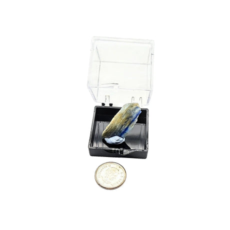 Collection Piece -Display Box -Kyanite -Rough -Brazil