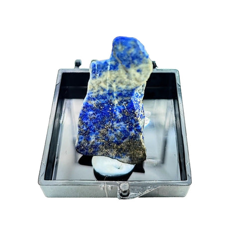 Collection Piece -Display Box -Lapis Lazuli -Rough -Afghanistan