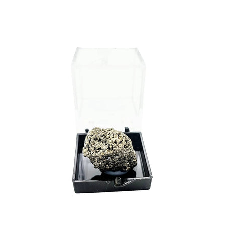 Collection Piece -Display Box -Pyrite -Rough -Peru