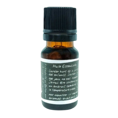 Essential Oil - Hibiscus (Hibiscus Rosa-Sinensis L.)
