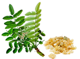 Essential Oil - Frankincense (Boswellia Serrata) 500 ml 18 oz