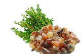 Essential Oil - Myrrh (Commiphora Myrrha) 500 ml 18 oz