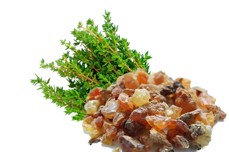 Essential Oil - Myrrh (Commiphora Myrrha) 500 ml 18 oz