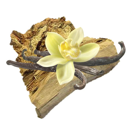 Essential Oil - Premium Collection - Sandalwood & Vanilla