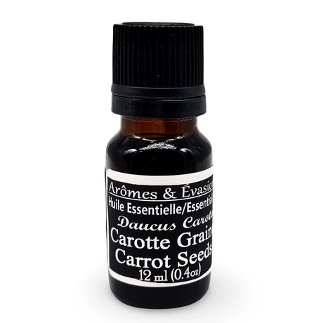 Essential Oil - Carrot Seeds (Daucus Carota) 12 ml