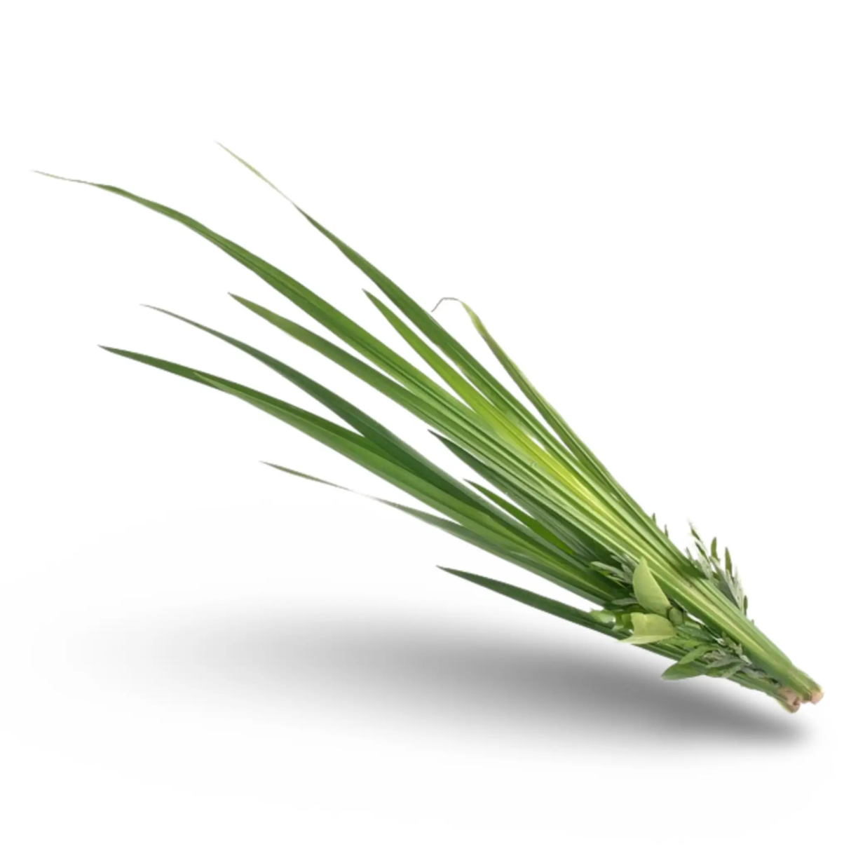 Essential Oil - Palmarosa (Cymbopogon Martinii Var Motia) 500 ml