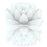 Essential Oil - White Lotus Absolute (Nelumbo Nucifera) 500 ml