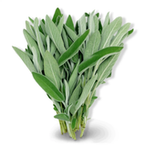 Essential Oil - White Sage (Salvia Apiana)