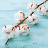 Fragrance Oil - Fresh Linen 500 ml