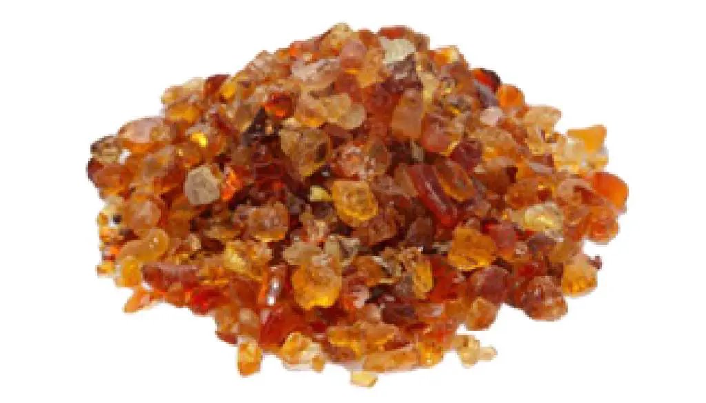 Fragrance Oil - Amber