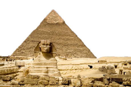 Fragrance Oil - Egyptian Musk 500 ml