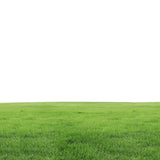 Fragrance Oil - Fresh Cut Grass 500 ml
