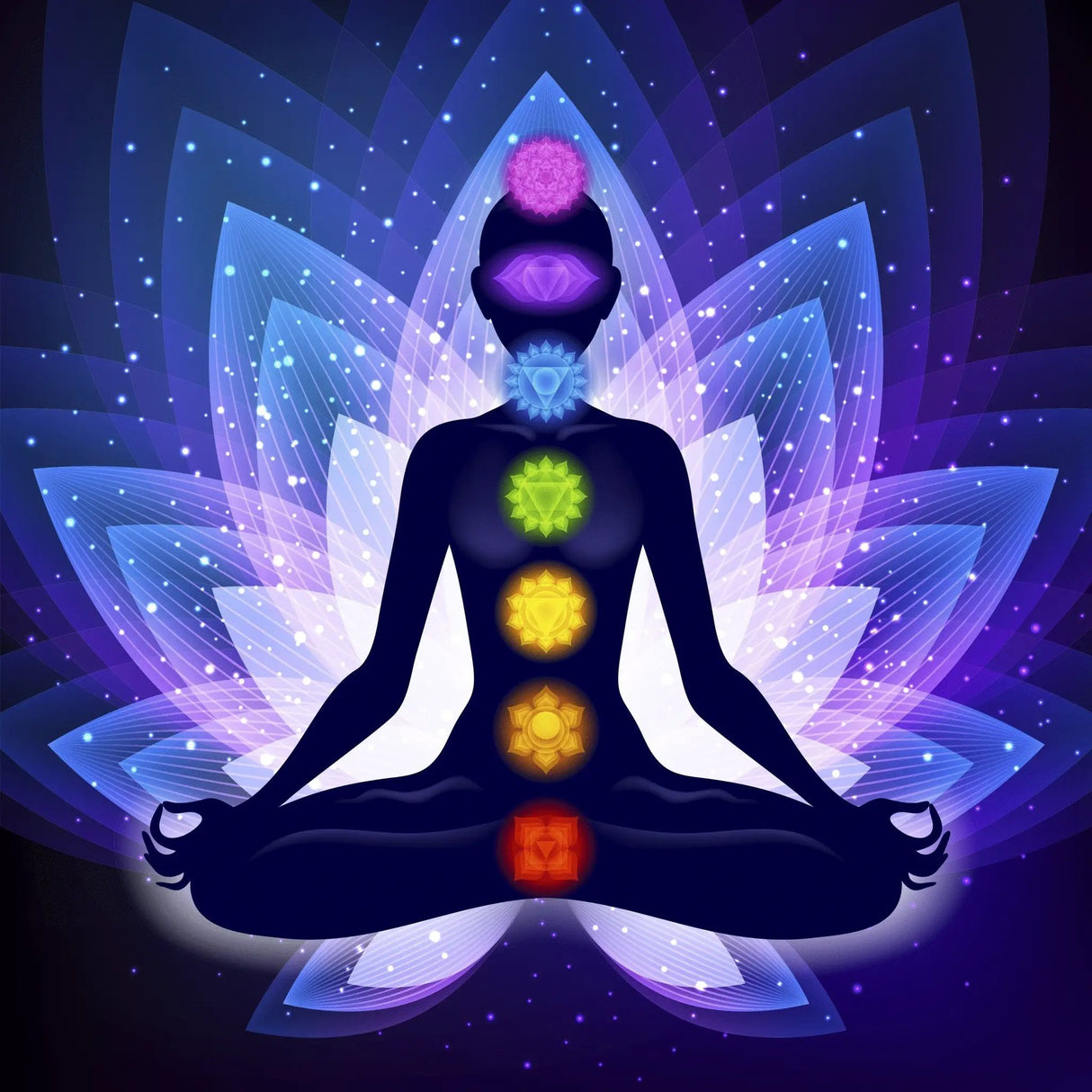 Fragrance Oil - Premium Collection - 7 Chakras