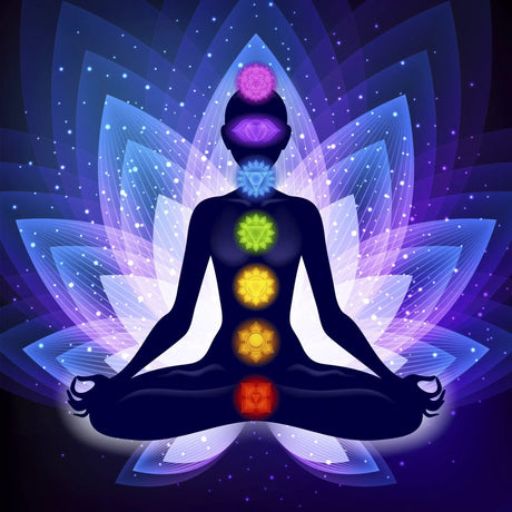 Fragrance Oil - Premium Collection - 7 Chakras