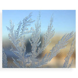 Fragrance Oil - Alpine Frost