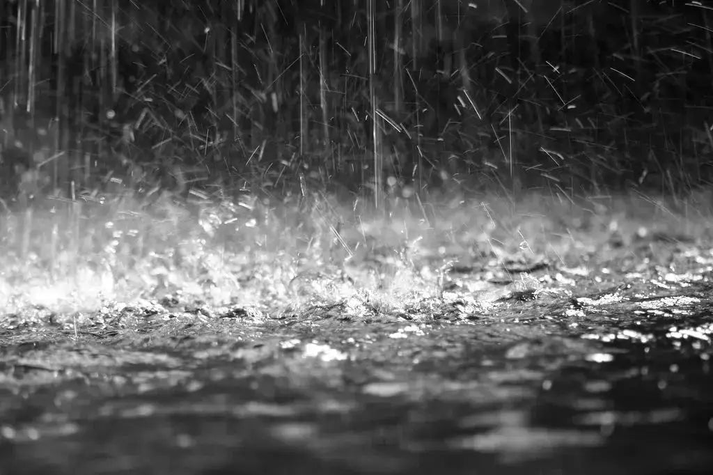 Fragrance Oil -Rain 500 ml