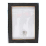 Home Decor -Canvas Plaque -In Arcadia Ego