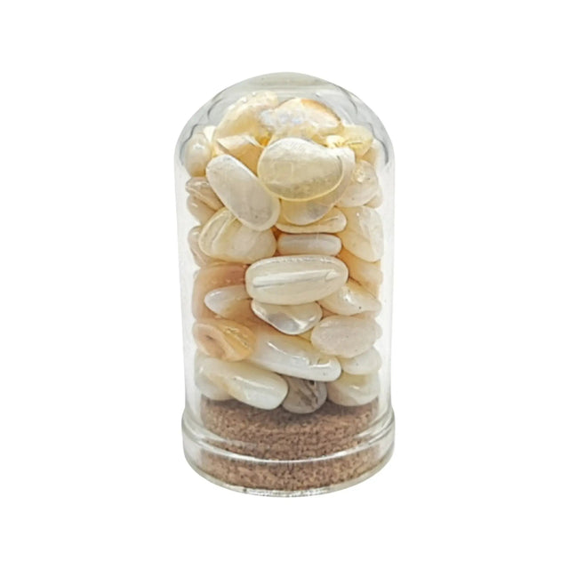 Home Decor -Small Decorative Bell -Mother of Pearl -15ml