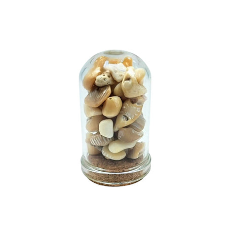 Home Decor -Small Decorative Bell -White Coral -15ml