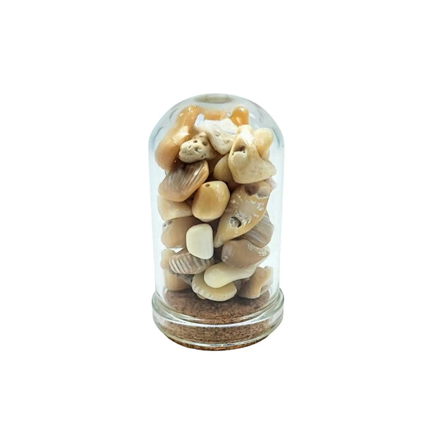 Home Decor -Small Decorative Bell -White Coral -15ml