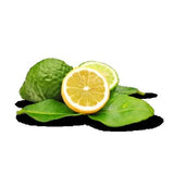Incense Sticks - Bergamot - Pack of 10