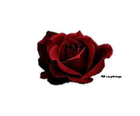 Incense Sticks - Scarlet Rose - Pack of 10