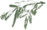 Incense Sticks - Snow Sage - Pack of 10