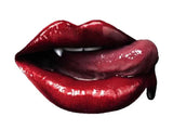 Nandita - Incense Box - Vampire Blood - 100g